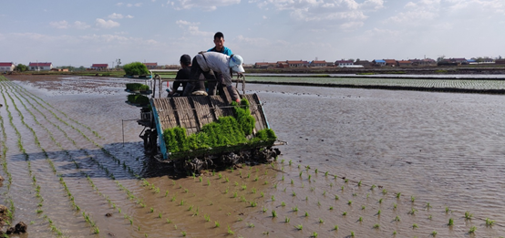 1626055479.png image.png